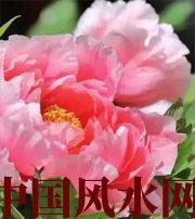 广东预示你财运上升，姻缘可成的梦境，快来看看吧！